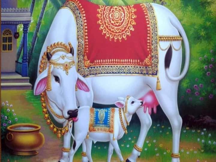 नगर पंचायत अध्यक्ष सोनसाय की अनुकरणीय पहल- देवउठनी एकादशी पर शहर के गोठान में किया गौ माता की पूजा अर्चना का सामूहिक कार्यक्रम एवं गौ भोज का कार्यक्रम, सोनसाय ने कहा- गौ माता भारतीय संस्कृति में पूज्यनीय, हमें गौ संरक्षण की दिशा में करना चाहिए कार्य,सोनसाय ने दी शहर वासियों को देवउठनी एकादशी की बधाई नगर पंचायत अध्यक्ष सोनसाय की अनुकरणीय पहल- देवउठनी एकादशी पर शहर के गोठान में किया गौ माता की पूजा अर्चना का सामूहिक कार्यक्रम एवं गौ भोज का कार्यक्रम, सोनसाय ने कहा- गौ माता भारतीय संस्कृति में पूज्यनीय, हमें गौ संरक्षण की दिशा में करना चाहिए कार्य,सोनसाय ने दी शहर वासियों को देवउठनी एकादशी की बधाई kshititech