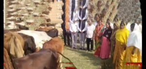 नगर पंचायत अध्यक्ष सोनसाय की अनुकरणीय पहल- देवउठनी एकादशी पर शहर के गोठान में किया गौ माता की पूजा अर्चना का सामूहिक कार्यक्रम एवं गौ भोज का कार्यक्रम, सोनसाय ने कहा- गौ माता भारतीय संस्कृति में पूज्यनीय, हमें गौ संरक्षण की दिशा में करना चाहिए कार्य,सोनसाय ने दी शहर वासियों को देवउठनी एकादशी की बधाई नगर पंचायत अध्यक्ष सोनसाय की अनुकरणीय पहल- देवउठनी एकादशी पर शहर के गोठान में किया गौ माता की पूजा अर्चना का सामूहिक कार्यक्रम एवं गौ भोज का कार्यक्रम, सोनसाय ने कहा- गौ माता भारतीय संस्कृति में पूज्यनीय, हमें गौ संरक्षण की दिशा में करना चाहिए कार्य,सोनसाय ने दी शहर वासियों को देवउठनी एकादशी की बधाई kshititech