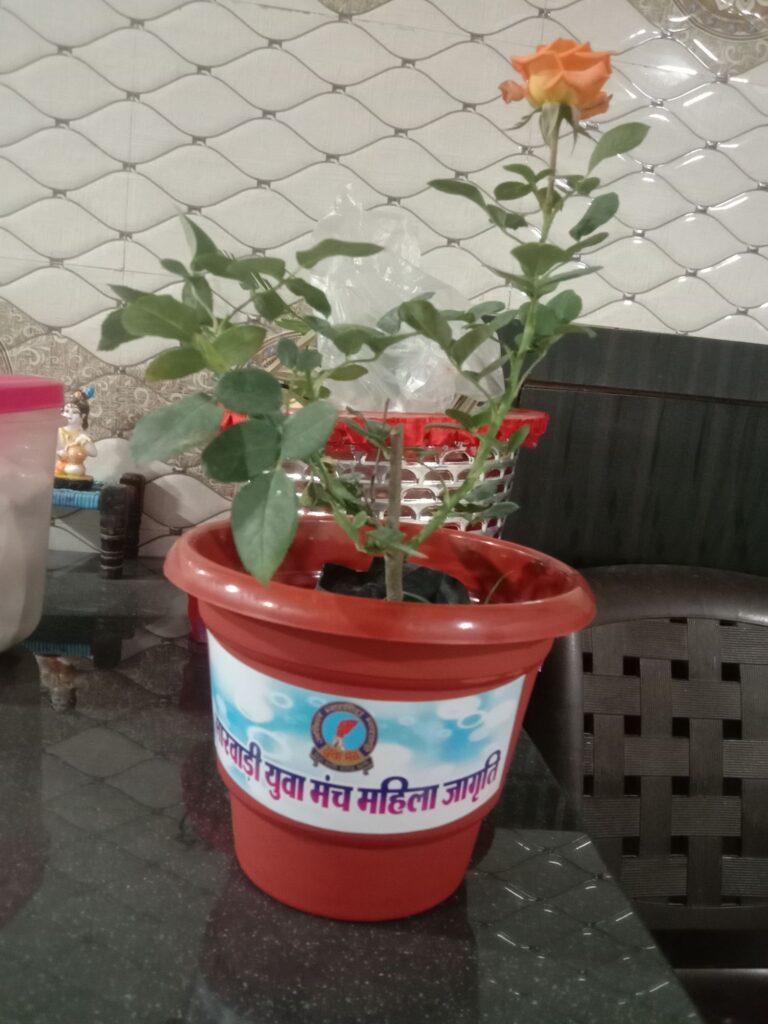 वुमेंस डे पर शक्ति की महिला जागृति शाखा की अनुकरणीय पहल, बेटियों की माताओ का किया वृक्ष भेंटकर सम्मान, जिले की पुलिस कप्तान अंकिता शर्मा का भी किया महिला जागृति शाखा ने सम्मान, पूर्व अध्यक्ष रीना गेवाड़ीन ने कहा- नारी शक्ति ने आज अपने कार्यों से पूरी दुनिया में बनाई है अपनी एक अलग पहचान वुमेंस डे पर शक्ति की महिला जागृति शाखा की अनुकरणीय पहल, बेटियों की माताओ का किया वृक्ष भेंटकर सम्मान, जिले की पुलिस कप्तान अंकिता शर्मा का भी किया महिला जागृति शाखा ने सम्मान, पूर्व अध्यक्ष रीना गेवाड़ीन ने कहा- नारी शक्ति ने आज अपने कार्यों से पूरी दुनिया में बनाई है अपनी एक अलग पहचान kshititech