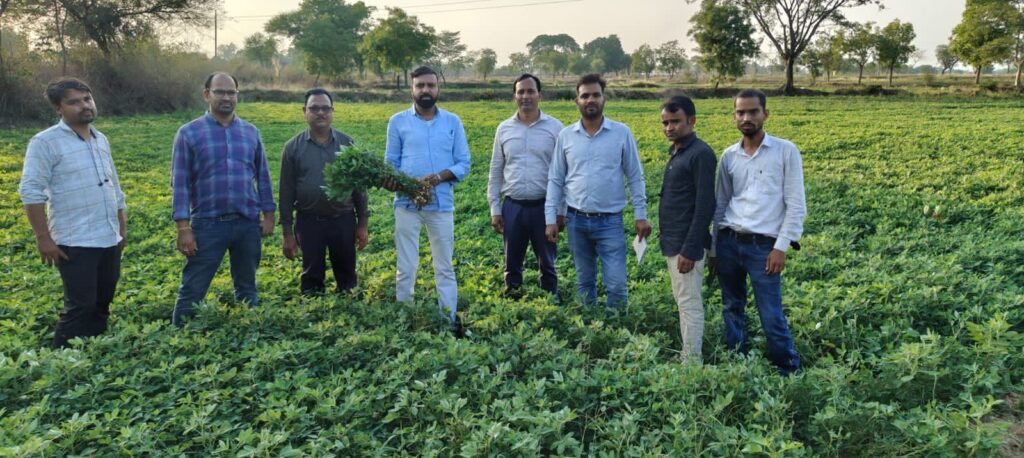 कृषि में अग्रणी जिला शक्ति- सक्ती जिले के किसानों को भा रहा ग्रीष्मकालीन मूंगफली की खेती- हर साल बढ़ रहा रकबा, केन्द्र सरकार की नेशनल मिशन ऑन इडिबल ऑयल ऑयल सीड्स योजना विकासखण्ड डभरा के किसानों के लिए बना वरदान,मूंगफली की नई किस्म लेपाक्क्षी के 1812 में फली की संख्या देख किसानों में भारी खुशी कृषि में अग्रणी जिला शक्ति- सक्ती जिले के किसानों को भा रहा ग्रीष्मकालीन मूंगफली की खेती- हर साल बढ़ रहा रकबा, केन्द्र सरकार की नेशनल मिशन ऑन इडिबल ऑयल ऑयल सीड्स योजना विकासखण्ड डभरा के किसानों के लिए बना वरदान,मूंगफली की नई किस्म लेपाक्क्षी के 1812 में फली की संख्या देख किसानों में भारी खुशी kshititech