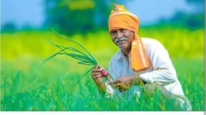 शक्ति जिले में किसानों को मिल रही बेहतर सुविधाएं- कृषि विभाग द्वारा 29 मई से 12 जून तक चलेगा विकसित कृषि संकल्प अभियान, जिले की समितियो में किसानों के लिए खाद-बीज के वितरण का कार्यक्रम हुआ शुरू, कृषि के मामले में उन्नत एवं विकसित जिला है शक्ति, उप संचालक कृषि शक्ति के नेतृत्व में कृषि विभाग की टीम सजग, अभी तक का होगा सबसे बड़ा अभियान, शक्ति जिले में लगेंगे 76 शिविर शक्ति जिले में किसानों को मिल रही बेहतर सुविधाएं- कृषि विभाग द्वारा 29 मई से 12 जून तक चलेगा विकसित कृषि संकल्प अभियान, जिले की समितियो में किसानों के लिए खाद-बीज के वितरण का कार्यक्रम हुआ शुरू, कृषि के मामले में उन्नत एवं विकसित जिला है शक्ति, उप संचालक कृषि शक्ति के नेतृत्व में कृषि विभाग की टीम सजग, अभी तक का होगा सबसे बड़ा अभियान, शक्ति जिले में लगेंगे 76 शिविर kshititech