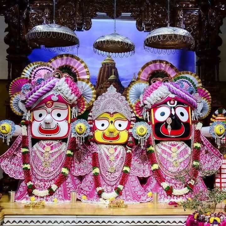 शक्ति शहर में रथद्वितिया के मौके पर 27 जून को निकलेगी भगवान जगन्नाथ प्रभु की भव्य शोभायात्रा, तैयारियां जोरों पर, जगन्नाथ स्वामी की आराधना में डूबेंगे धर्म प्रेमी, जय जगन्नाथ- जय जगन्नाथ शक्ति शहर में रथद्वितिया के मौके पर 27 जून को निकलेगी भगवान जगन्नाथ प्रभु की भव्य शोभायात्रा, तैयारियां जोरों पर, जगन्नाथ स्वामी की आराधना में डूबेंगे धर्म प्रेमी, जय जगन्नाथ- जय जगन्नाथ kshititech
