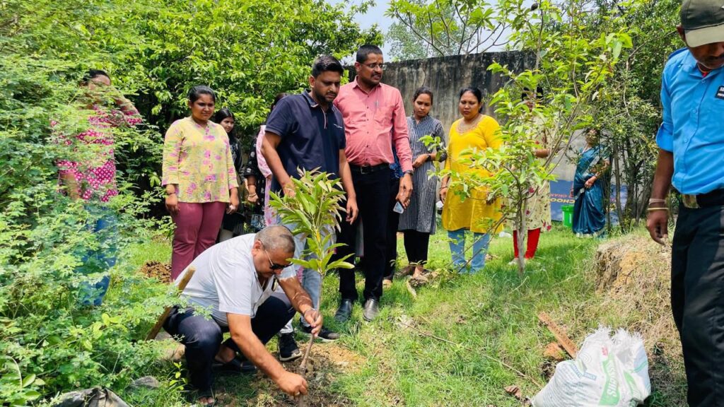 जिंदल वर्ल्ड स्कूल की अनुकरणीय पहल- पर्यावरण संरक्षित करने बच्चों के साथ किया वृक्षारोपण,बच्चों ने लिया संकल्प- वृक्षारोपण कर प्रकृति को करेंगे संरक्षित, विद्यालय के डायरेक्टर रवि जिंदल ने कहा- पर्यावरण संरक्षण हम सबकी नैतिक जिम्मेदारी, प्रतिवर्ष अधिक से अधिक लगाए वृक्ष, प्रकृति अनमोल है, इसे बचाए रखें जिंदल वर्ल्ड स्कूल की अनुकरणीय पहल- पर्यावरण संरक्षित करने बच्चों के साथ किया वृक्षारोपण,बच्चों ने लिया संकल्प- वृक्षारोपण कर प्रकृति को करेंगे संरक्षित, विद्यालय के डायरेक्टर रवि जिंदल ने कहा- पर्यावरण संरक्षण हम सबकी नैतिक जिम्मेदारी, प्रतिवर्ष अधिक से अधिक लगाए वृक्ष, प्रकृति अनमोल है, इसे बचाए रखें kshititech