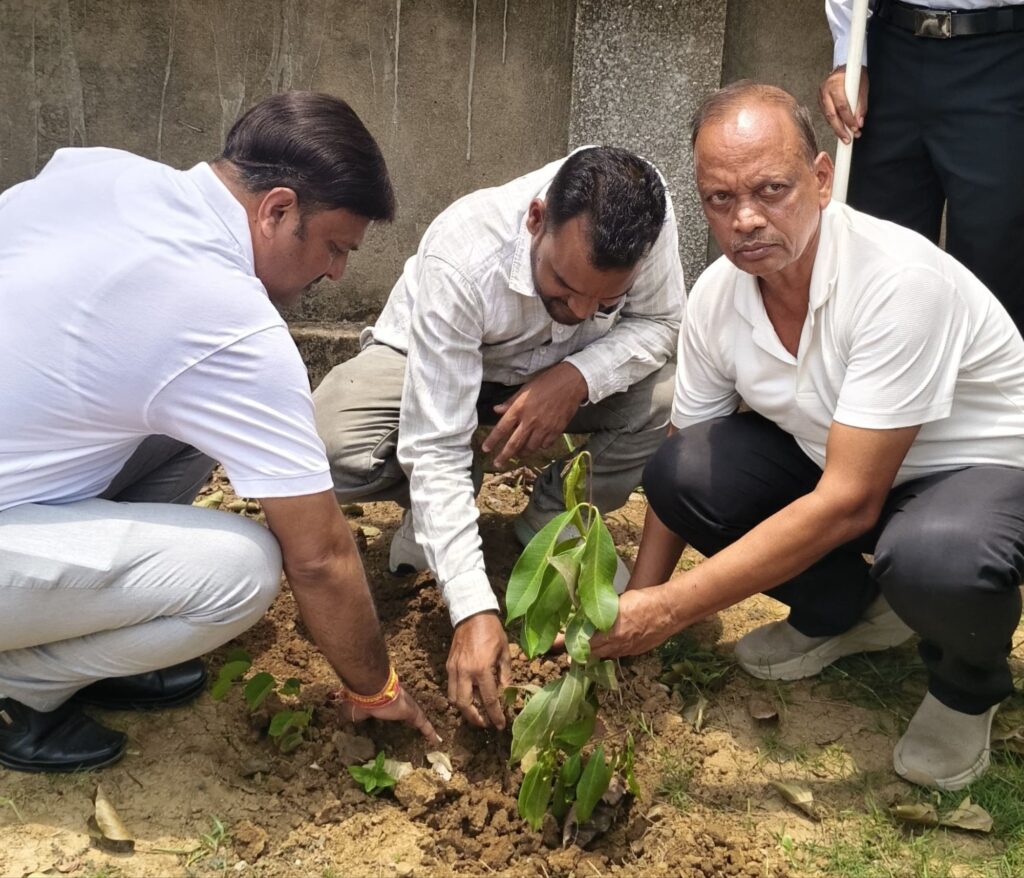 विश्व पर्यावरण दिवस पर मिरौनी स्थित चंद्रहासिनी विद्यापीठ में किया गया वृक्षारोपण, पॉलिथीन के बढ़ते उपयोग को बंद करने का भी लिया संकल्प, चंद्रहासिनी विद्यापीठ द्वारा पूरे वर्ष पर पर्यावरण संरक्षण की दिशा में किए जाते हैं जन जागरूकता कार्यक्रम एवं सक्रिय पहल विश्व पर्यावरण दिवस पर मिरौनी स्थित चंद्रहासिनी विद्यापीठ में किया गया वृक्षारोपण, पॉलिथीन के बढ़ते उपयोग को बंद करने का भी लिया संकल्प, चंद्रहासिनी विद्यापीठ द्वारा पूरे वर्ष पर पर्यावरण संरक्षण की दिशा में किए जाते हैं जन जागरूकता कार्यक्रम एवं सक्रिय पहल kshititech