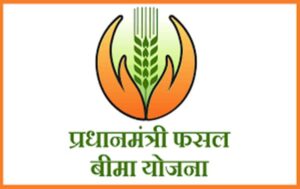 शक्ति जिले में सावन की रील बनाओ, 10000/-रुपये का इनाम पाओ, जिला प्रशासन ने प्रारंभ किया अभियान, 31 जुलाई तक किसानों का होगा प्रधानमंत्री फसल बीमा योजना, आकस्मिक मृत्यु पर प्रकरण स्वीकृत,शक्ति जिले में 25 जुलाई को होगा सघन वृक्षारोपण शक्ति जिले में सावन की रील बनाओ, 10000/-रुपये का इनाम पाओ, जिला प्रशासन ने प्रारंभ किया अभियान, 31 जुलाई तक किसानों का होगा प्रधानमंत्री फसल बीमा योजना, आकस्मिक मृत्यु पर प्रकरण स्वीकृत,शक्ति जिले में 25 जुलाई को होगा सघन वृक्षारोपण kshititech
