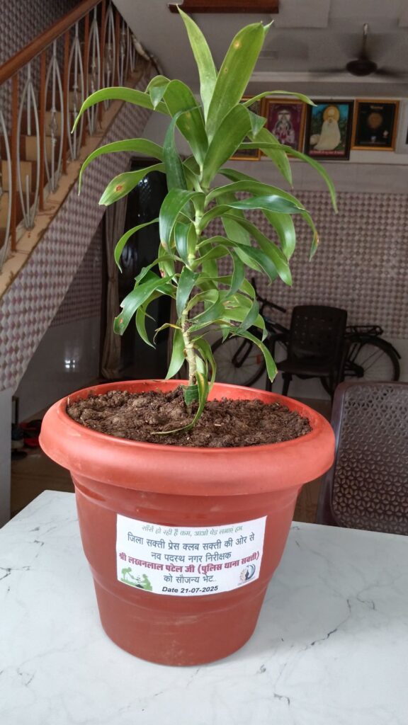 जिला शक्ति प्रेस क्लब शक्ति के सदस्यों ने 21 जुलाई को करी पुलिस अधिकारियों से मुलाकात, शक्ति जिले के एडिशनल एसपी हरीश यादव, एसडीओ पुलिस मनीष कंवर एवं नव पदस्थ टी आई लखन लाल पटेल से मिले सदस्य, शहर में ट्रैफिक सिग्नल लगाने की करी मांग,नव पदस्थ टी आई को भेंट किया गया वृक्ष जिला शक्ति प्रेस क्लब शक्ति के सदस्यों ने 21 जुलाई को करी पुलिस अधिकारियों से मुलाकात, शक्ति जिले के एडिशनल एसपी हरीश यादव, एसडीओ पुलिस मनीष कंवर एवं नव पदस्थ टी आई लखन लाल पटेल से मिले सदस्य, शहर में ट्रैफिक सिग्नल लगाने की करी मांग,नव पदस्थ टी आई को भेंट किया गया वृक्ष kshititech