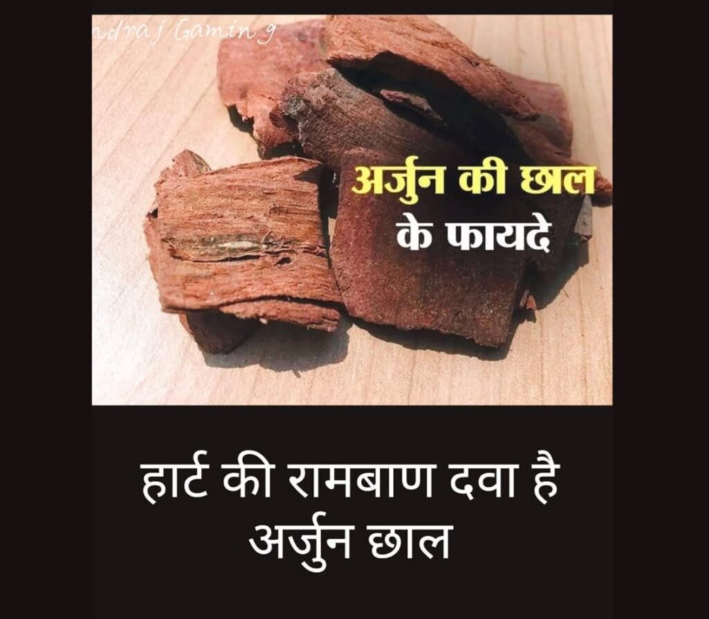 कमाल की औषधि- मोटापा,बीपी,शुगर जैसी बीमारियों के लिए रामबाण है औषधिय गुणों से से परिपूर्ण अर्जुन की छाल, स्वास्थ्य हित में प्रसारित, आपको इसके सेवन से लाभ मिले तो अन्य लोगों को भी जरूर बताएं, जाने किन-किन बीमारियों के लिए यह औषधि बन सकती है लाभकारी कमाल की औषधि- मोटापा,बीपी,शुगर जैसी बीमारियों के लिए रामबाण है औषधिय गुणों से से परिपूर्ण अर्जुन की छाल, स्वास्थ्य हित में प्रसारित, आपको इसके सेवन से लाभ मिले तो अन्य लोगों को भी जरूर बताएं, जाने किन-किन बीमारियों के लिए यह औषधि बन सकती है लाभकारी kshititech
