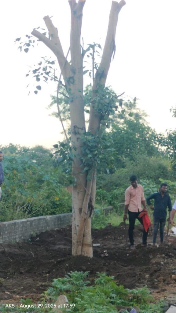 बड़ी खबर- विकास कार्यों में बाधा नहीं बनेंगे पेड़, देश में पेड़ों को उखाड़ कर फिर से स्थापित करने की नई तकनीक हुई प्रारंभ, लोक निर्माण विभाग की अनुकरणीय पहल, डकोटा, हाई एंड ट्री ट्रांसप्लांटर मशीन kshititech