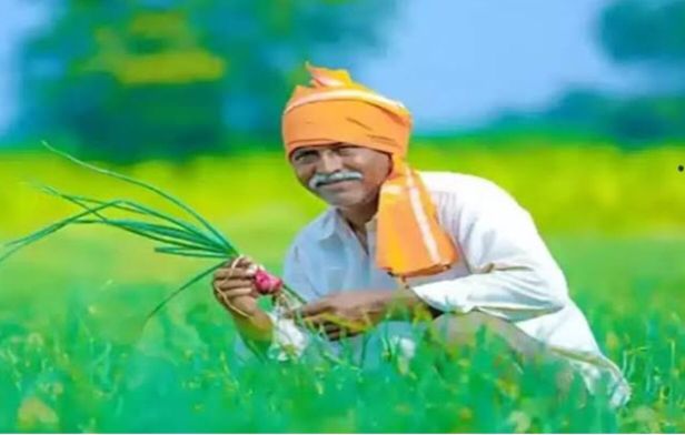 नो रिस्क, नो जोखिम- किसान भाई पहले करवा लो फसलों का बीमा, कृषि विभाग ने बढ़ा दी 14 अगस्त तक की तारीख, कृषि उपसंचालक शक्ति ने दी जानकारी नो रिस्क, नो जोखिम- किसान भाई पहले करवा लो फसलों का बीमा, कृषि विभाग ने बढ़ा दी 14 अगस्त तक की तारीख, कृषि उपसंचालक शक्ति ने दी जानकारी kshititech