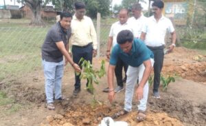 रचनात्मक कार्य की शुरुआत-नगर पंचायत बाराद्वार ने 300 पौधों का किया वृक्षारोपण, आयोजन था अमृत मित्र योजना के अंतर्गत वूमेन फ़ॉर ट्री अभियान का, जन प्रतिनिधियों ने कहा- वृक्षारोपण करना एवं उसे संरक्षण देना हम सब की जवाबदारी रचनात्मक कार्य की शुरुआत-नगर पंचायत बाराद्वार ने 300 पौधों का किया वृक्षारोपण, आयोजन था अमृत मित्र योजना के अंतर्गत वूमेन फ़ॉर ट्री अभियान का, जन प्रतिनिधियों ने कहा- वृक्षारोपण करना एवं उसे संरक्षण देना हम सब की जवाबदारी kshititech