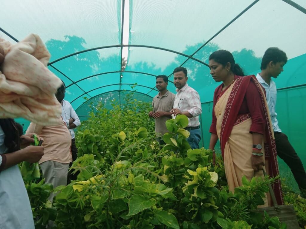 शक्ति के सरस्वती शिशु मंदिर के कृषि संकाय 12वीं के विद्यार्थियों ने किया शैक्षणिक भ्रमण, शक्ति जिले में निजी क्षेत्र का एकमात्र विद्यालय जहां कृषि संबंधी शिक्षा भी दी जाती है विद्यार्थियों को शक्ति के सरस्वती शिशु मंदिर के कृषि संकाय 12वीं के विद्यार्थियों ने किया शैक्षणिक भ्रमण, शक्ति जिले में निजी क्षेत्र का एकमात्र विद्यालय जहां कृषि संबंधी शिक्षा भी दी जाती है विद्यार्थियों को kshititech