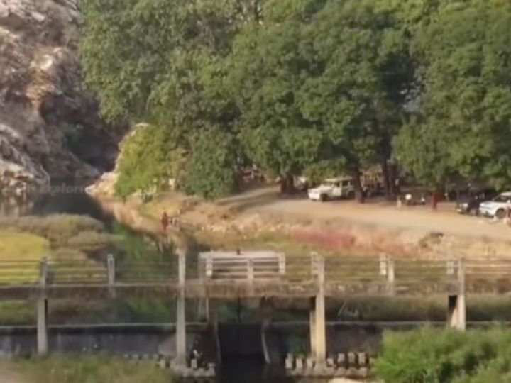 वन परिक्षेत्र शक्ति द्वारा 19 सितंबर को ऋषभ तीर्थ दमाऊधारा में किया जाएगा सेवा पखवाड़े का आयोजन, शक्ति जिले का पर्यटन स्थल है दमाऊधारा, वृक्षारोपण सहित अन्य कार्यक्रम होंगे संपन्न kshititech