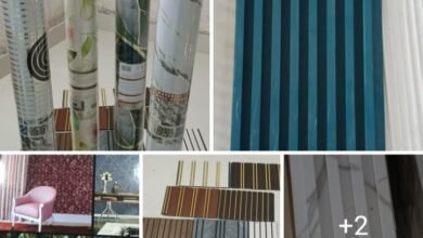 आओ घर को दे नया लुक- शक्ति के स्टेशन रोड में महाकाल होम डेकोर का हुआ भव्य शुभारंभ, आपके घर की सुंदर सजावट के लिए मिलेंगे बड़े शहरों की तरह सामग्री आओ घर को दे नया लुक- शक्ति के स्टेशन रोड में महाकाल होम डेकोर का हुआ भव्य शुभारंभ, आपके घर की सुंदर सजावट के लिए मिलेंगे बड़े शहरों की तरह सामग्री kshititech