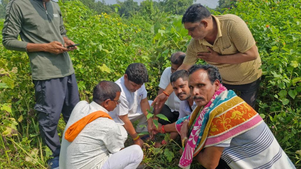 साहू समाज द्वारा दिवंगत व्यक्तियों के अंतिम संस्कार के मौके पर वृक्षारोपण की की जाएगी पहल, साहू संघ के जिला अध्यक्ष डॉक्टर खिलावन साहू ने रखा प्रस्ताव, एवं स्वयं करी पहल, डॉक्टर खिलावन ने कहा- वृक्ष लगाने से पर्यावरण संरक्षण के साथ ही हमें लगातार देते हैं छाया, मोहगांव पहुंचे खिलावन साहू ने स्वयं किया वृक्षारोपण साहू समाज द्वारा दिवंगत व्यक्तियों के अंतिम संस्कार के मौके पर वृक्षारोपण की की जाएगी पहल, साहू संघ के जिला अध्यक्ष डॉक्टर खिलावन साहू ने रखा प्रस्ताव, एवं स्वयं करी पहल, डॉक्टर खिलावन ने कहा- वृक्ष लगाने से पर्यावरण संरक्षण के साथ ही हमें लगातार देते हैं छाया, मोहगांव पहुंचे खिलावन साहू ने स्वयं किया वृक्षारोपण kshititech