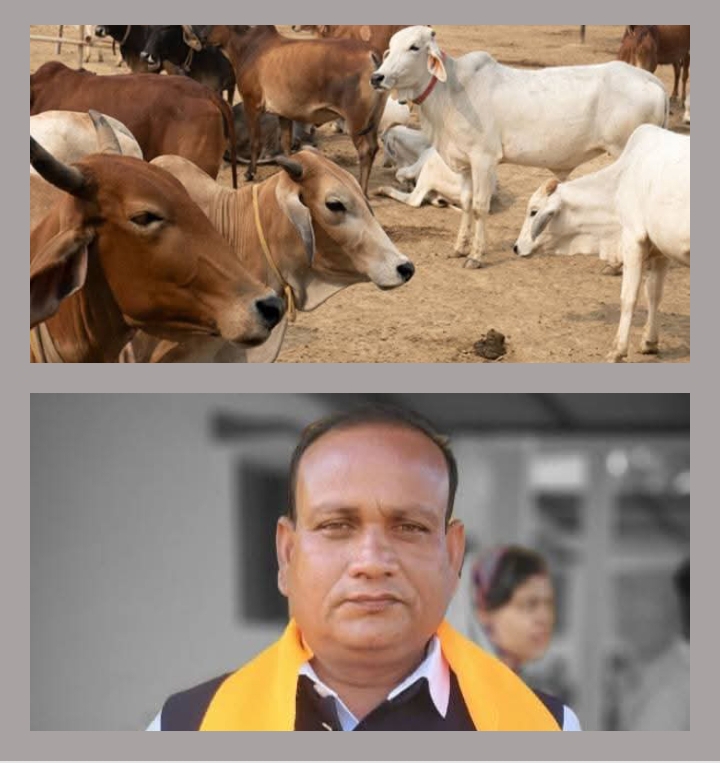 नगर पंचायत अध्यक्ष नारायण कुर्रे का रचनात्मक प्रयास-बाराद्वार के नगर पंचायत प्रशासन ने गौ माताओ के लिए की गौठान की करी बेहतर व्यवस्था,बाराद्वार का गौठान बना गौ माताओ की सेवा एवं आश्रय का बड़ा प्रकल्प, शहर में सड़कों पर नहीं दिखती गौ माताएं, नगर पंचायत अध्यक्ष जी की गौ सेवा को देखते हुए लोग उन्हें पुकारने लगे हैं गौ सेवक नगर पंचायत अध्यक्ष नारायण कुर्रे का रचनात्मक प्रयास-बाराद्वार के नगर पंचायत प्रशासन ने गौ माताओ के लिए की गौठान की करी बेहतर व्यवस्था,बाराद्वार का गौठान बना गौ माताओ की सेवा एवं आश्रय का बड़ा प्रकल्प, शहर में सड़कों पर नहीं दिखती गौ माताएं, नगर पंचायत अध्यक्ष जी की गौ सेवा को देखते हुए लोग उन्हें पुकारने लगे हैं गौ सेवक kshititech