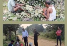 कृषक हो रहे मालामाल- वन विभाग के डीएफओ की पहल से 37 गांवो के 400 किसानों को मिला अपना खुद का रोजगार,DFO मनीष कश्यप की पहल की पूरे अंचल में हो रही प्रशंसा kshititech