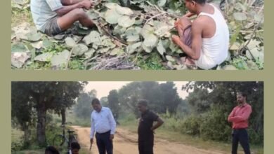 कृषक हो रहे मालामाल- वन विभाग के डीएफओ की पहल से 37 गांवो के 400 किसानों को मिला अपना खुद का रोजगार,DFO मनीष कश्यप की पहल की पूरे अंचल में हो रही प्रशंसा kshititech
