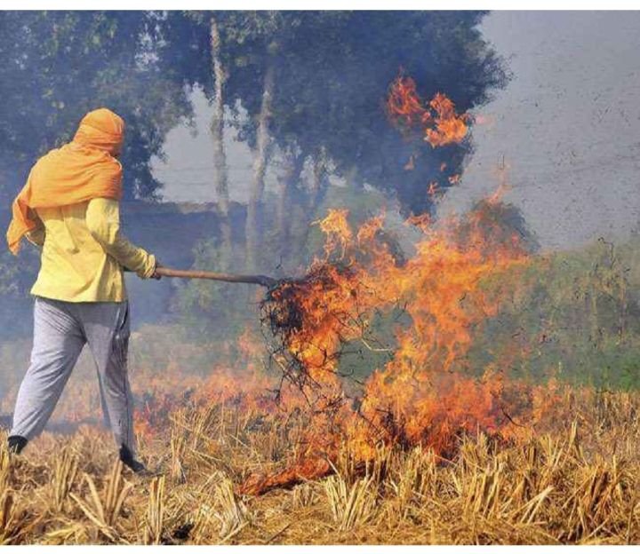 शक्ति जिले में पराली ना जलाये किसान, सूचना मिलने पर की जाएगी कार्रवाई, ₹30000 रुपये तक है जुर्माने का प्रावधान,कृषि विभाग ने करी किसानों से अपील, उप संचालक कृषि ने कहा- पराली को गौशालाओं को करें दान kshititech