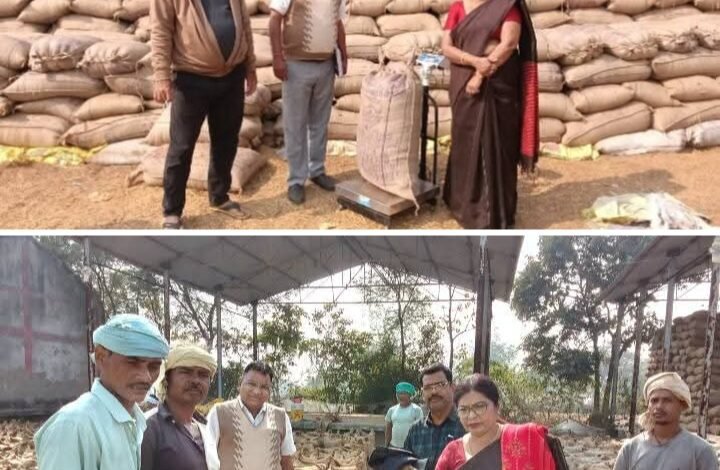 कलेक्टर के निर्देश पर जिला शिक्षा अधिकारी शक्ति ने धान खरीदी केंद्रों का किया निरीक्षण, स्कूलों में भी निरीक्षण में पहुंची DEO कुमुदिनी बाघ द्विवेदी, सहायक जिला सांख्यिकी अधिकारी राकेश अग्रवाल भी रहे मौजूद कलेक्टर के निर्देश पर जिला शिक्षा अधिकारी शक्ति ने धान खरीदी केंद्रों का किया निरीक्षण, स्कूलों में भी निरीक्षण में पहुंची DEO कुमुदिनी बाघ द्विवेदी, सहायक जिला सांख्यिकी अधिकारी राकेश अग्रवाल भी रहे मौजूद kshititech