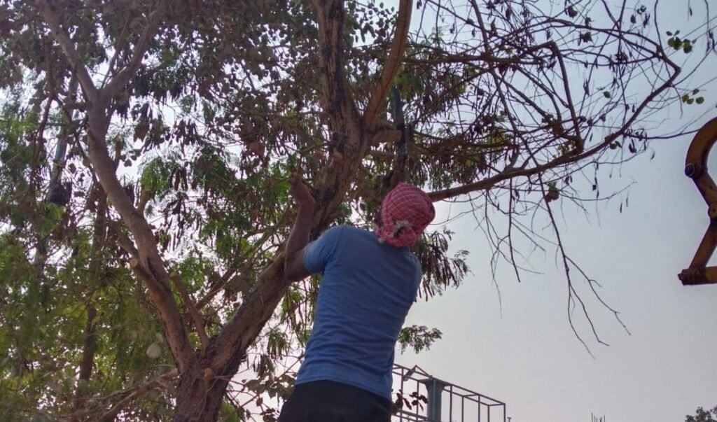 जिला मुख्यालय शक्ति शहर में यात्रियों की सुविधाओ के लिए हो रही कांटेदार पेड़ों की कटाई, शहर के स्थाई बस स्टैंड में यात्रियों के सुविधाओं के लिए नगर पालिका की सराहनीय पहल, नगर पालिका अध्यक्ष श्यामसुंदर अग्रवाल ने कहा- बस स्टैंड में आने वाले यात्रियों को सुविधाये उपलब्ध करवाना ही प्रशासन की प्राथमिकता kshititech