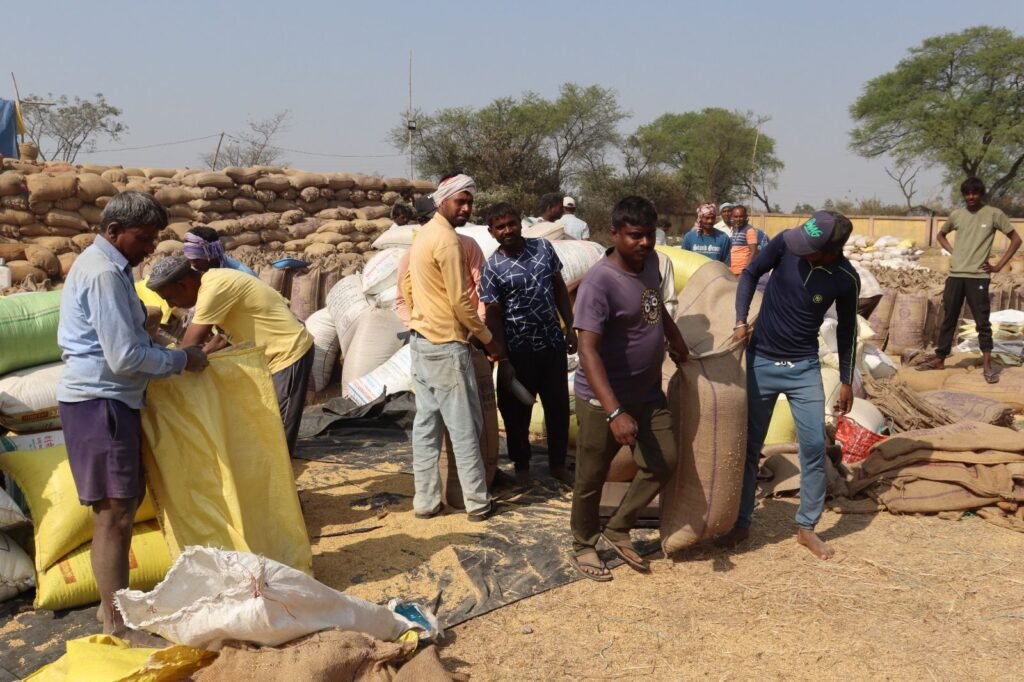 TL की मीटिंग में कलेक्टर तोपनो ने कहा- धान खरीदी में बर्दाश्त नहीं होगी लापरवाही, मंगलवार को टीएल की मीटिंग में धान खरीदी को लेकर अफसरो को दिए गए निर्देश, जन दर्शन में तोपनों ने सुनी समस्याएं, अवैध धान परिवहन को लेकर प्रशासन ने करी फिर कारवाई, जिले में 6 स्थानो पर प्रशासन की हुई कार्रवाई kshititech