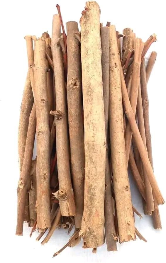 जामुनः ऐसा वृक्ष जिसके अंग-अंग में औषधि और इतिहास दोनों बसते हैं, जानिए जामुन की लकड़ियां आपके लिए है कितनी फायदेमंद, जमुना में होने वाला आयरन आपके रक्त को करता है शुद्ध kshititech