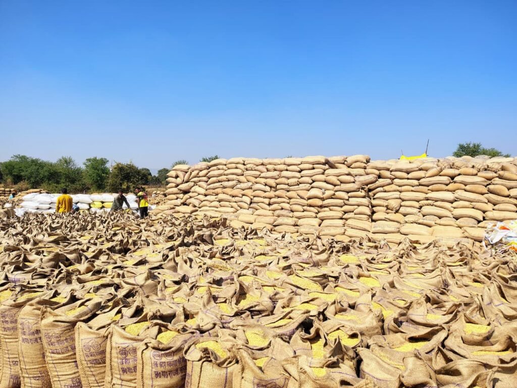 केंद्रीय बजट की पूरे शक्ति जिले में हो रही प्रशंसा, कलेक्टर साहब के मार्गदर्शन में धान खरीदी की प्रक्रिया सफलतापूर्वक संपन्न, कृषि विभाग द्वारा जिले में मानव संसाधन विकास प्रशिक्षण कार्यक्रम संपन्न, आकस्मिक मृत्यु पर मिली सहायता राशि, प्रोफेसर सोमेश कुमार घिटोडे ने कहा- विकसित भारत की परिकल्पना को साकार करने वाला है आम बजट केंद्रीय बजट की पूरे शक्ति जिले में हो रही प्रशंसा, कलेक्टर साहब के मार्गदर्शन में धान खरीदी की प्रक्रिया सफलतापूर्वक संपन्न, कृषि विभाग द्वारा जिले में मानव संसाधन विकास प्रशिक्षण कार्यक्रम संपन्न, आकस्मिक मृत्यु पर मिली सहायता राशि, प्रोफेसर सोमेश कुमार घिटोडे ने कहा- विकसित भारत की परिकल्पना को साकार करने वाला है आम बजट kshititech