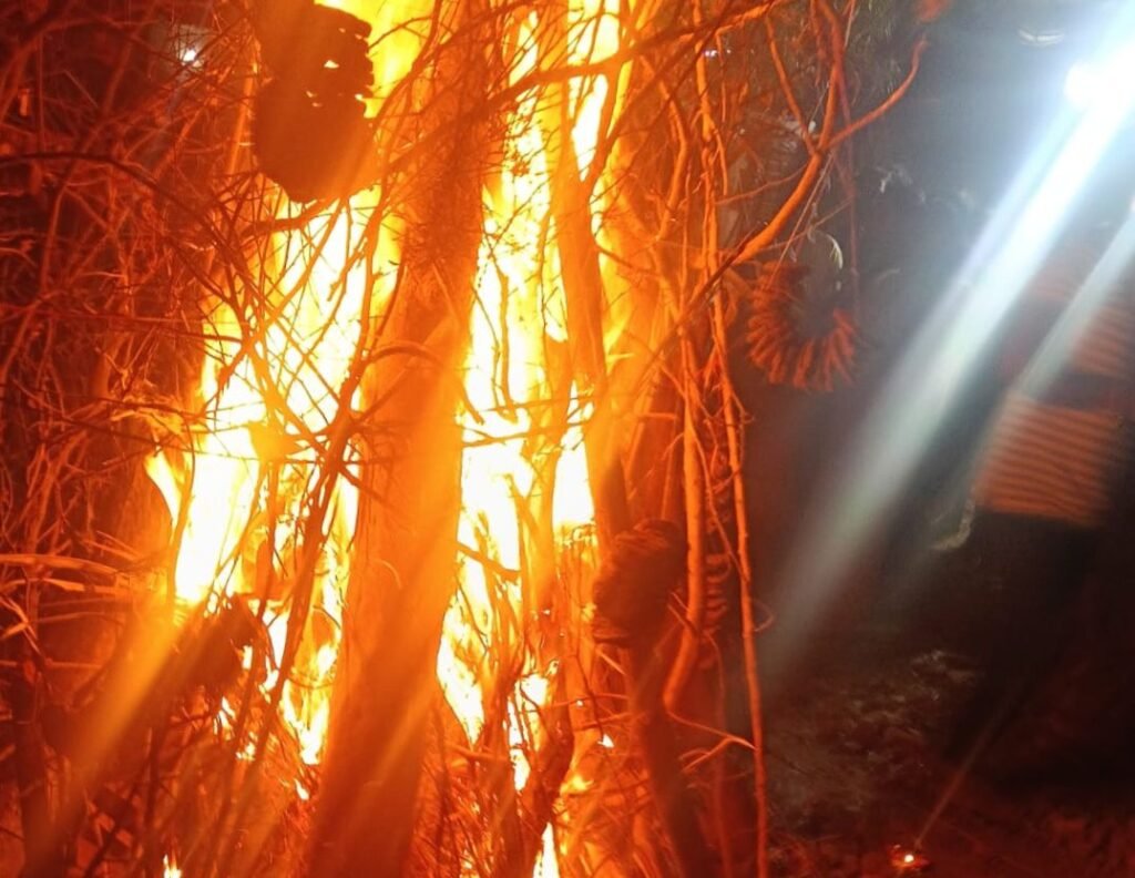 गायत्री परिवार के प्रांतीय प्रकोष्ठ ने किया तीन दिवसीय आदर्श होली कार्यक्रम का आयोजन kshititech