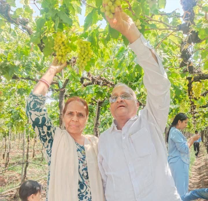 नासिक महाराष्ट्र के अंगूरों के खेतों में पहुंचे खनिज विकास निगम के पूर्व अध्यक्ष गिरधर गुप्ता. अंगूर उत्पादक किसानों से चर्चा कर गुप्ता जी ने भौगोलिक परिस्थितियों की भी ली जानकारी kshititech