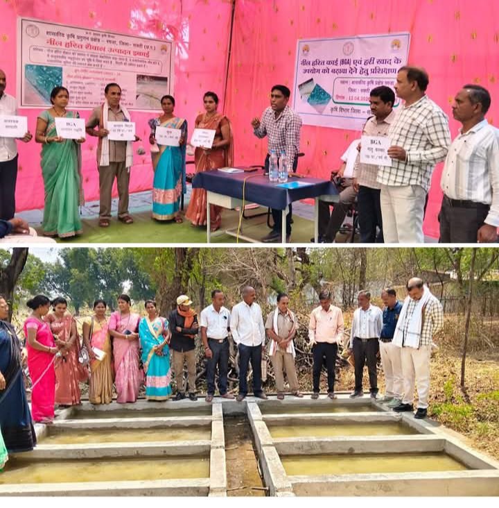 शक्ति जिले में कलेक्टर तोपनो साहब के मार्गदर्शन में जिला कृषि विभाग ने नील हरित काई एवं हरी खाद को बढ़ावा देने हेतु बीआरसी (जैव संसाधन केन्द्र) मे किया गया प्रशिक्षण आयोजित. नई तकनीक से जिले के किसान हुए अवगत kshititech