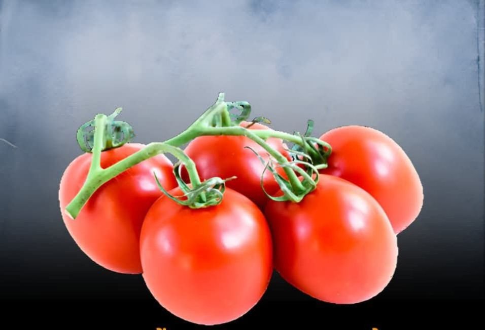 टमाटर के अद्भुत फायदे.रोज़ाना खान-पान में जरूर शामिल करें टमाटर को kshititech