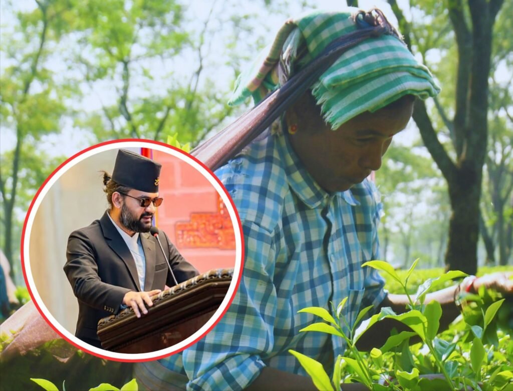 चाय को लेकर मोदी सरकार हुई सख्त. बाहर से आने वाली चाय की गुणवत्ता की जांच करेगी सरकार. नेपाल सरकार की बढ़ी मुश्किले. टी बोर्ड के अधिकारी 1 मई से रेंडम करेंगे कंटेनरों का चयन kshititech