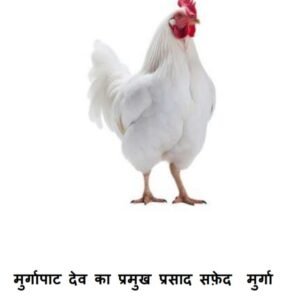 डॉ. राम विजय शर्मा ने मुर्गापाट देव पर किया ऐतिहासिक शोध डॉ. राम विजय शर्मा ने मुर्गापाट देव पर किया ऐतिहासिक शोध kshititech