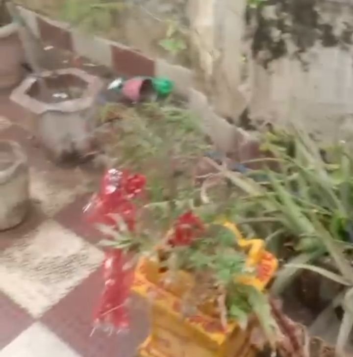 30 मिनट के तूफान ने जमकर तबाही मचाई शक्ति शहर में. पूरे जिले में जनजीवन अस्त व्यस्त. विद्युत व्यवस्था भी हुई ध्वस्त.बिजली विभाग के अधिकारी- कर्मचारी जुटे विद्युत आपूर्ति बहाल करने में. नगर पालिका शक्ति के अध्यक्ष श्याम सुंदर अग्रवाल ने भी लिया तूफान से प्रभावित क्षेत्र का जायजा. तूफान इस गति का अंदाजा नहीं था लोगों को kshititech