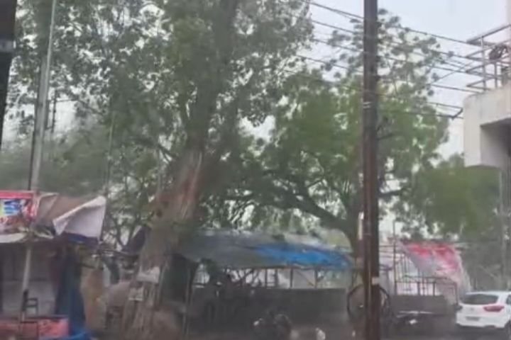 30 मिनट के तूफान ने जमकर तबाही मचाई शक्ति शहर में. पूरे जिले में जनजीवन अस्त व्यस्त. विद्युत व्यवस्था भी हुई ध्वस्त.बिजली विभाग के अधिकारी- कर्मचारी जुटे विद्युत आपूर्ति बहाल करने में. नगर पालिका शक्ति के अध्यक्ष श्याम सुंदर अग्रवाल ने भी लिया तूफान से प्रभावित क्षेत्र का जायजा. तूफान इस गति का अंदाजा नहीं था लोगों को kshititech