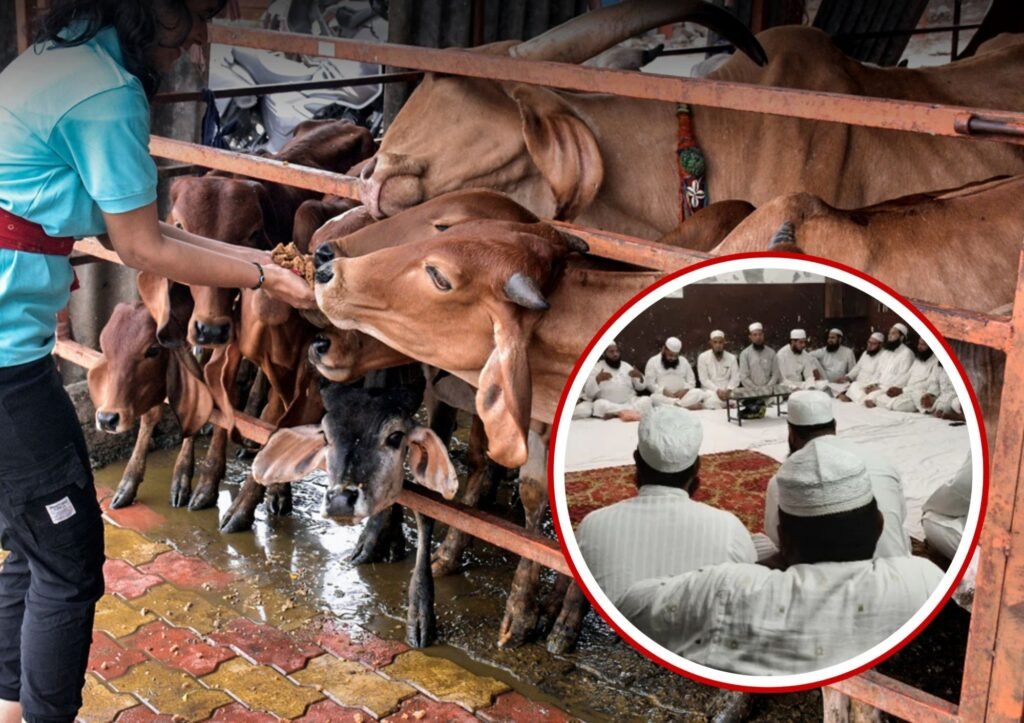 मुस्लिम समाज ने किया आवाहन-गाय को राष्ट्रीय पशु का दर्जा दिलाने मुस्लिम समाज चलाएगा देश भर में मुहिम kshititech