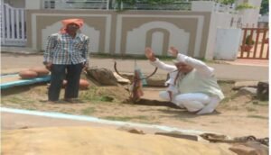 अंतर्राष्ट्रीय शोधकर्ता डॉ राम विजय शर्मा का लांजीगढ़ के धोबी समाज ने मुचकुंद का पत्ता एवं फूल से सम्मानित किया. लांजीगढ़ किले के हुए शोध से क्षेत्र के ग्रामीणों में भी हर्ष. बड़ी उत्सुकता के साथ पूरे शोध के दौरान भागीदारी करी क्षेत्रीय जनता ने अंतर्राष्ट्रीय शोधकर्ता डॉ राम विजय शर्मा का लांजीगढ़ के धोबी समाज ने मुचकुंद का पत्ता एवं फूल से सम्मानित किया. लांजीगढ़ किले के हुए शोध से क्षेत्र के ग्रामीणों में भी हर्ष. बड़ी उत्सुकता के साथ पूरे शोध के दौरान भागीदारी करी क्षेत्रीय जनता ने kshititech