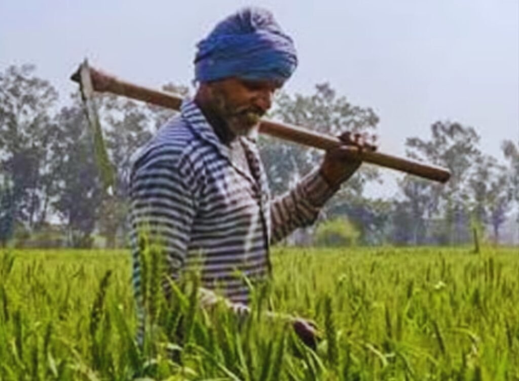 प्रदेश के 50 लाख किसानों को मिलेगा इस योजना से सीधा लाभ. किसानों के चेहरे पर आई रौनक प्रदेश के 50 लाख किसानों को मिलेगा इस योजना से सीधा लाभ. किसानों के चेहरे पर आई रौनक kshititech