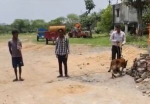 चंद्रपुर शहर के प्रसिद्ध हनुमान मंदिर में हुई चोरी. हनुमान जी के गले का हार एवं दान पेटी की रकम भी ले गए चोर. पुलिस ने बुलाया डॉग स्क्वायड चंद्रपुर शहर के प्रसिद्ध हनुमान मंदिर में हुई चोरी. हनुमान जी के गले का हार एवं दान पेटी की रकम भी ले गए चोर. पुलिस ने बुलाया डॉग स्क्वायड kshititech