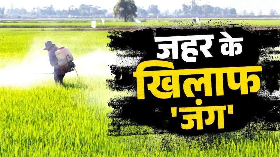 भारत में खुलेआम बिक रहा खतरनाक केमिकल कार्बेंडाजिम! एग्रो कंपनियों के आगे क्यों घुटने टेक रहा सिस्टम? kshititech