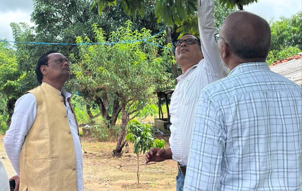 छत्तीसगढ़ में कृषि उद्यानिकी को बढ़ावा देने शाकंभरी बोर्ड के सदस्यों का चल रहा दौरा कार्यक्रम- बलरामपुर जिले में पहुंचे बोर्ड के अध्यक्ष एवं सदस्य. शाकंभरी बोर्ड के सदस्य प्रेमलाल पटेल भी शामिल थे इस प्रतिनिधि मंडल में. बोर्ड की सक्रियता से प्रदेश के किसानों को मिल रहा लाभ छत्तीसगढ़ में कृषि उद्यानिकी को बढ़ावा देने शाकंभरी बोर्ड के सदस्यों का चल रहा दौरा कार्यक्रम- बलरामपुर जिले में पहुंचे बोर्ड के अध्यक्ष एवं सदस्य. शाकंभरी बोर्ड के सदस्य प्रेमलाल पटेल भी शामिल थे इस प्रतिनिधि मंडल में. बोर्ड की सक्रियता से प्रदेश के किसानों को मिल रहा लाभ kshititech