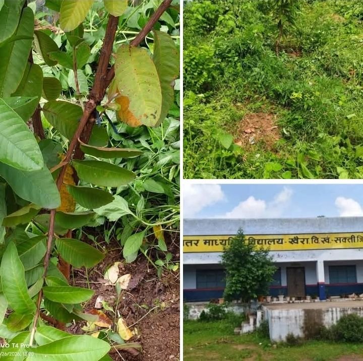 स्कूल का वृक्षारोपण भी रास नहीं आ रहा है लोगो को।असामाजिक तत्वों ने पौधों को पहुंचाया नुकसान. दोषी लोगों पर स्कूल प्रबंधन करेगा कारवाई kshititech
