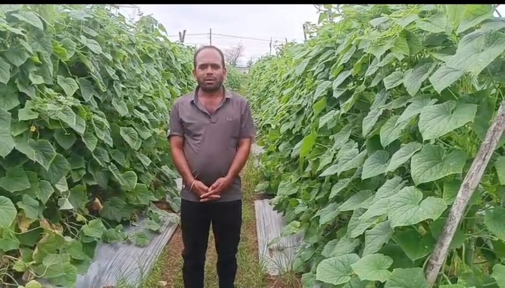 करो फसल चक्र परिवर्तन-बनो समृद्ध-शक्ति जिले में खीरे की खेती से किशन गोपाल कृष्णा पटेल ने कमाए 05 लाख रुपए।उन्नत तकनीक का इस्तेमाल कर खीरे की फसल से किसान का परिवार हुआ खुशहाल. शक्ति जिले में नई-नई उन्नत तकनीको की जानकारी दे रहा प्रशासन kshititech