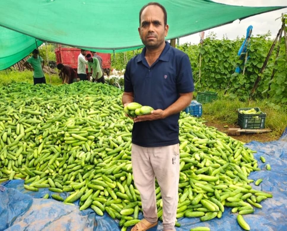 करो फसल चक्र परिवर्तन-बनो समृद्ध-शक्ति जिले में खीरे की खेती से किशन गोपाल कृष्णा पटेल ने कमाए 05 लाख रुपए।उन्नत तकनीक का इस्तेमाल कर खीरे की फसल से किसान का परिवार हुआ खुशहाल. शक्ति जिले में नई-नई उन्नत तकनीको की जानकारी दे रहा प्रशासन kshititech